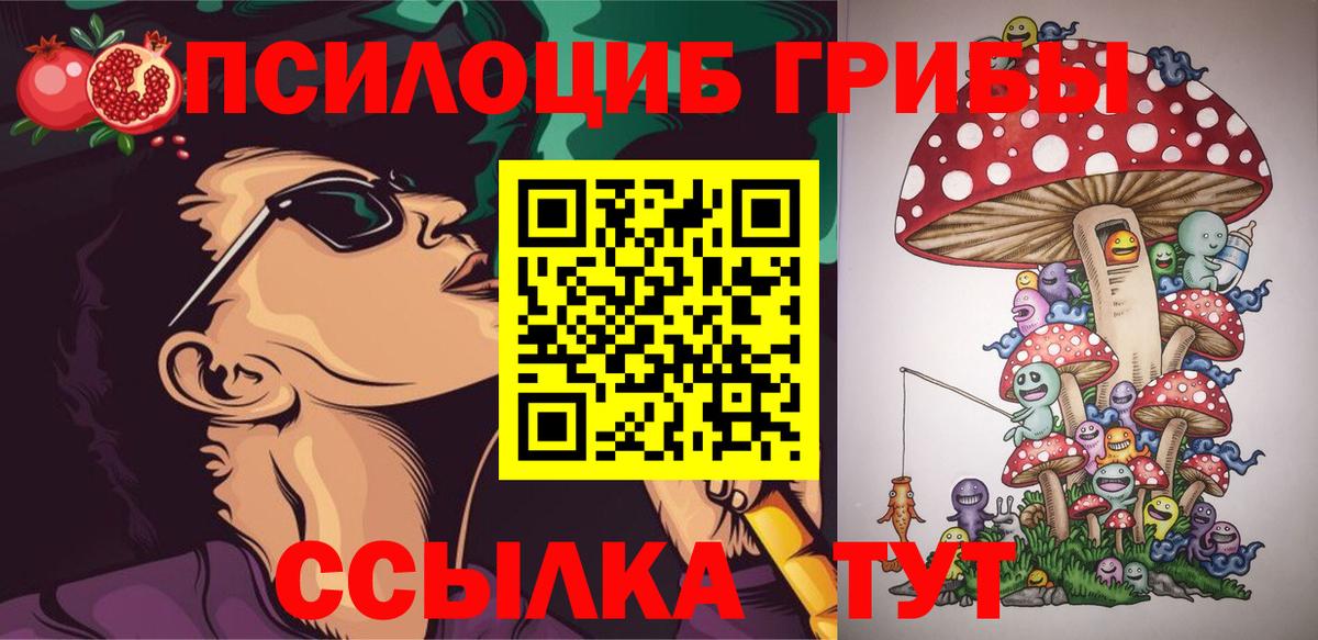 Михайловка  Псилоцибиновые грибы MAGIC MUSHROOMS  Псилоцибиновые грибы Psilocybine cubensis  Вход с VPN 