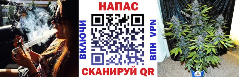 цены наркотик  Михайловка  МАРИХУАНА ГИДРОПОН 